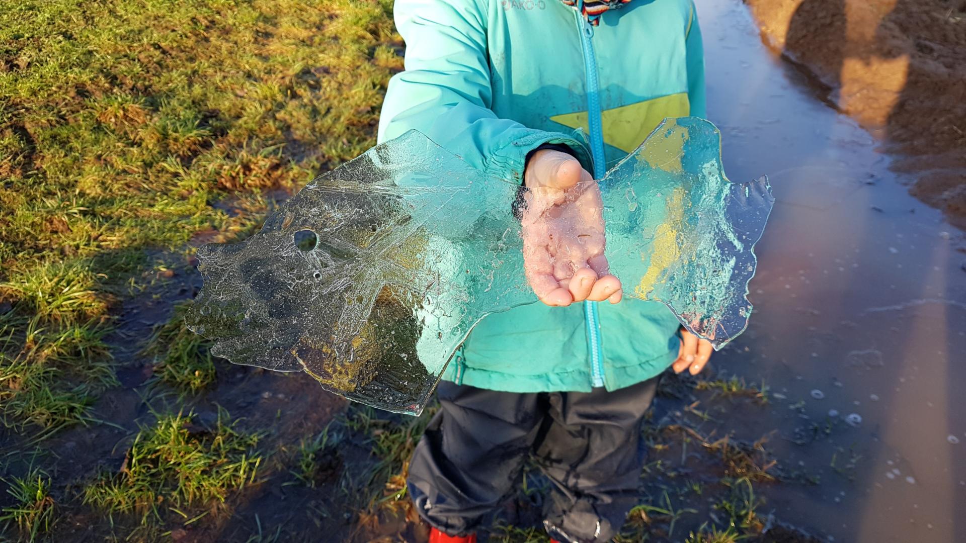 Naturparadies Wimmelbach – Unsere Kinder entdecken seltenen „Eisfisch“ (c) Kita