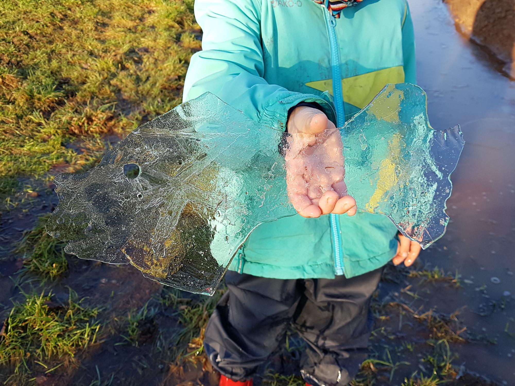 Naturparadies Wimmelbach – Unsere Kinder entdecken seltenen „Eisfisch“