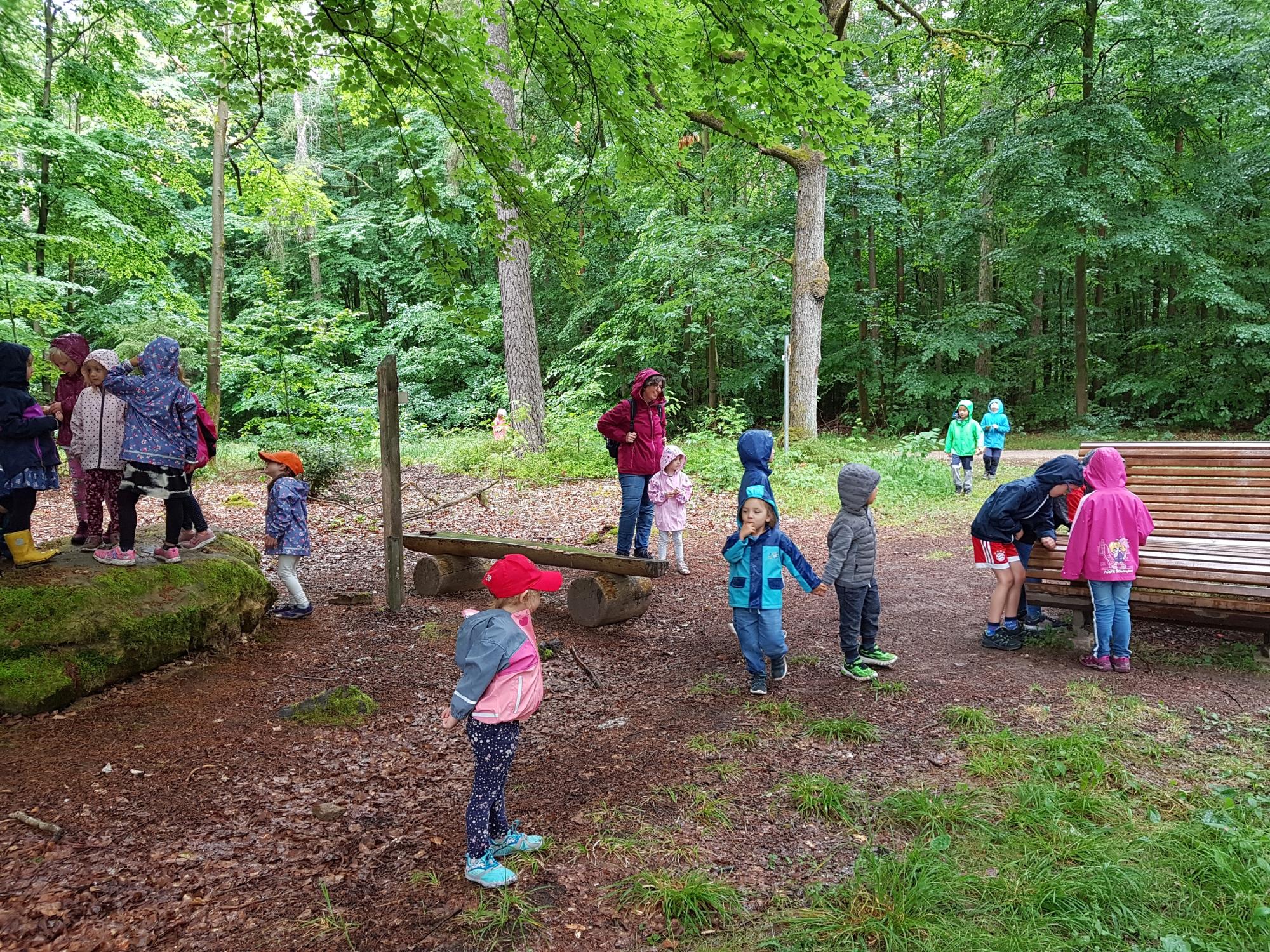 Eine Regenwanderung  im Sommer