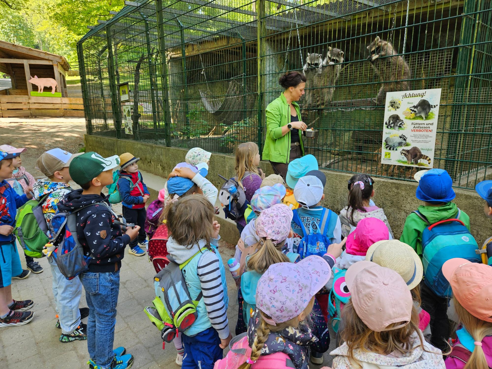 Ein Besuch im Wildpark