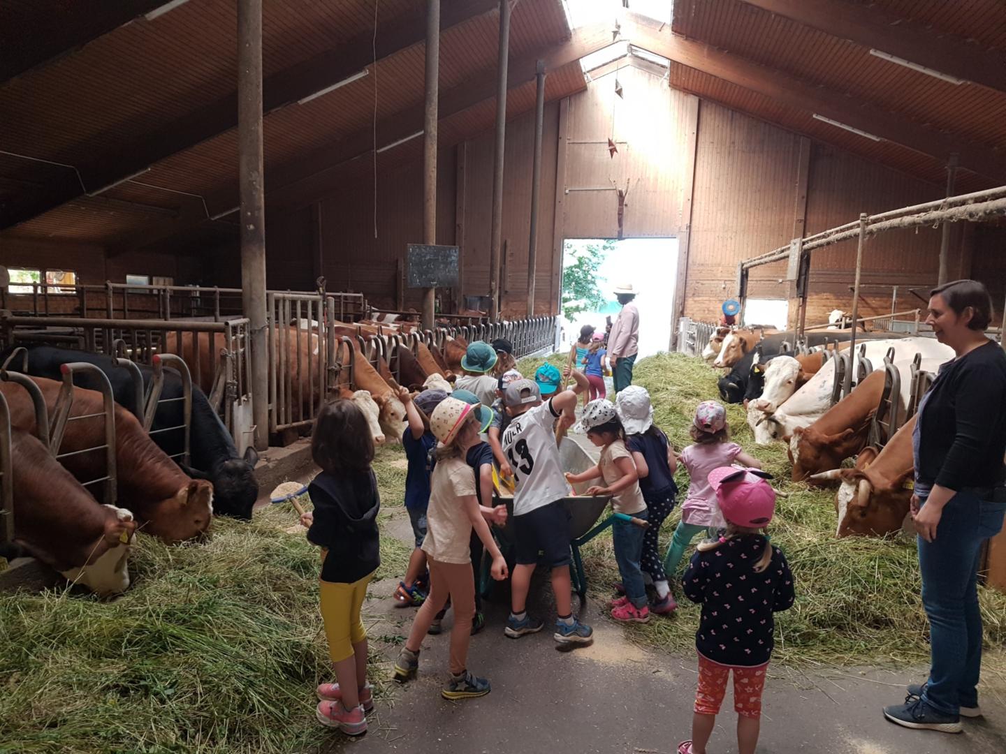 „Ein erlebnisreicher Tag auf dem Bauernhof –  Gut das es noch Bauern gibt!“ (c) Kita