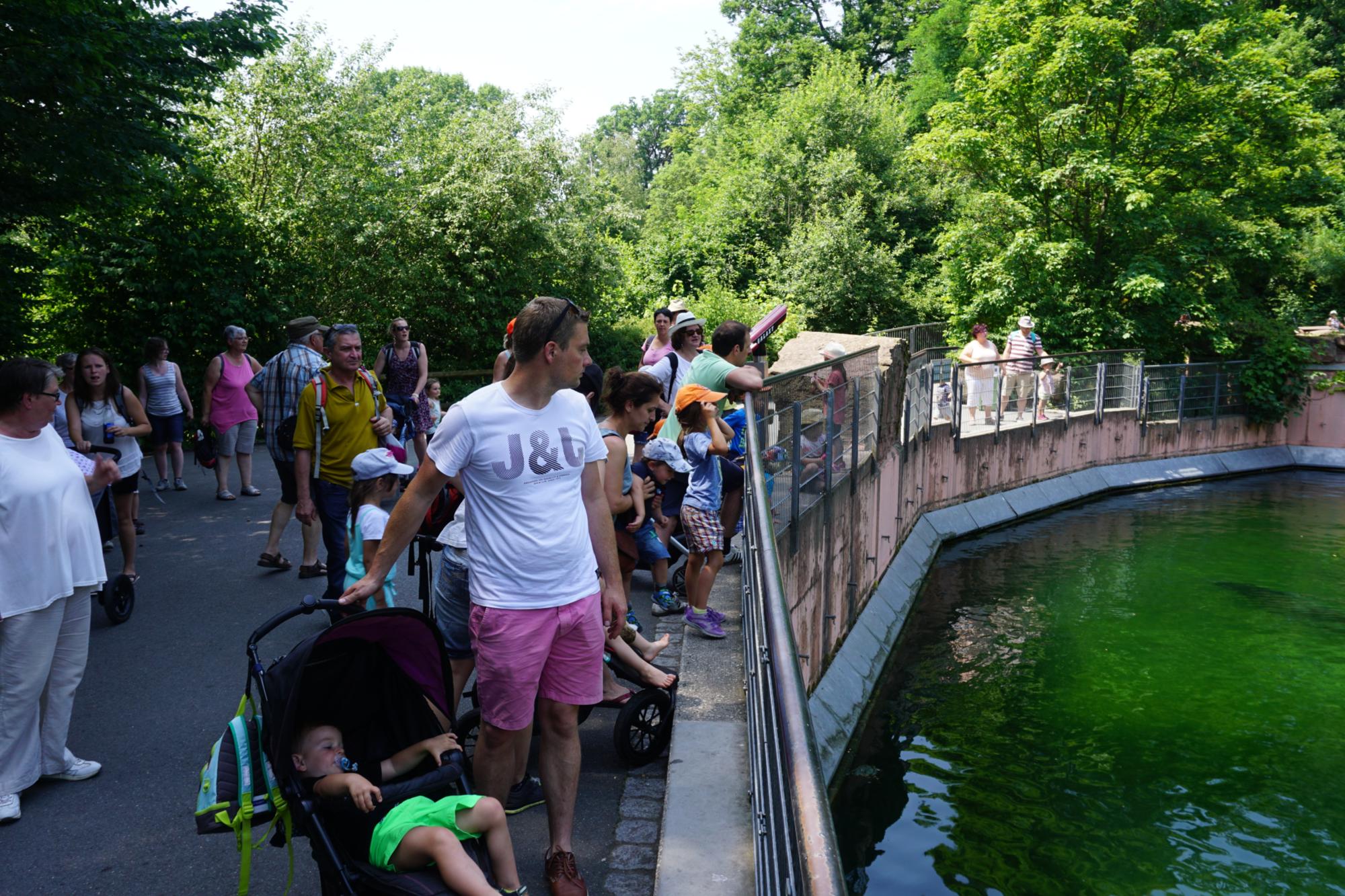 Ausflug in den Tiergarten Nürnberg 23.06.2017