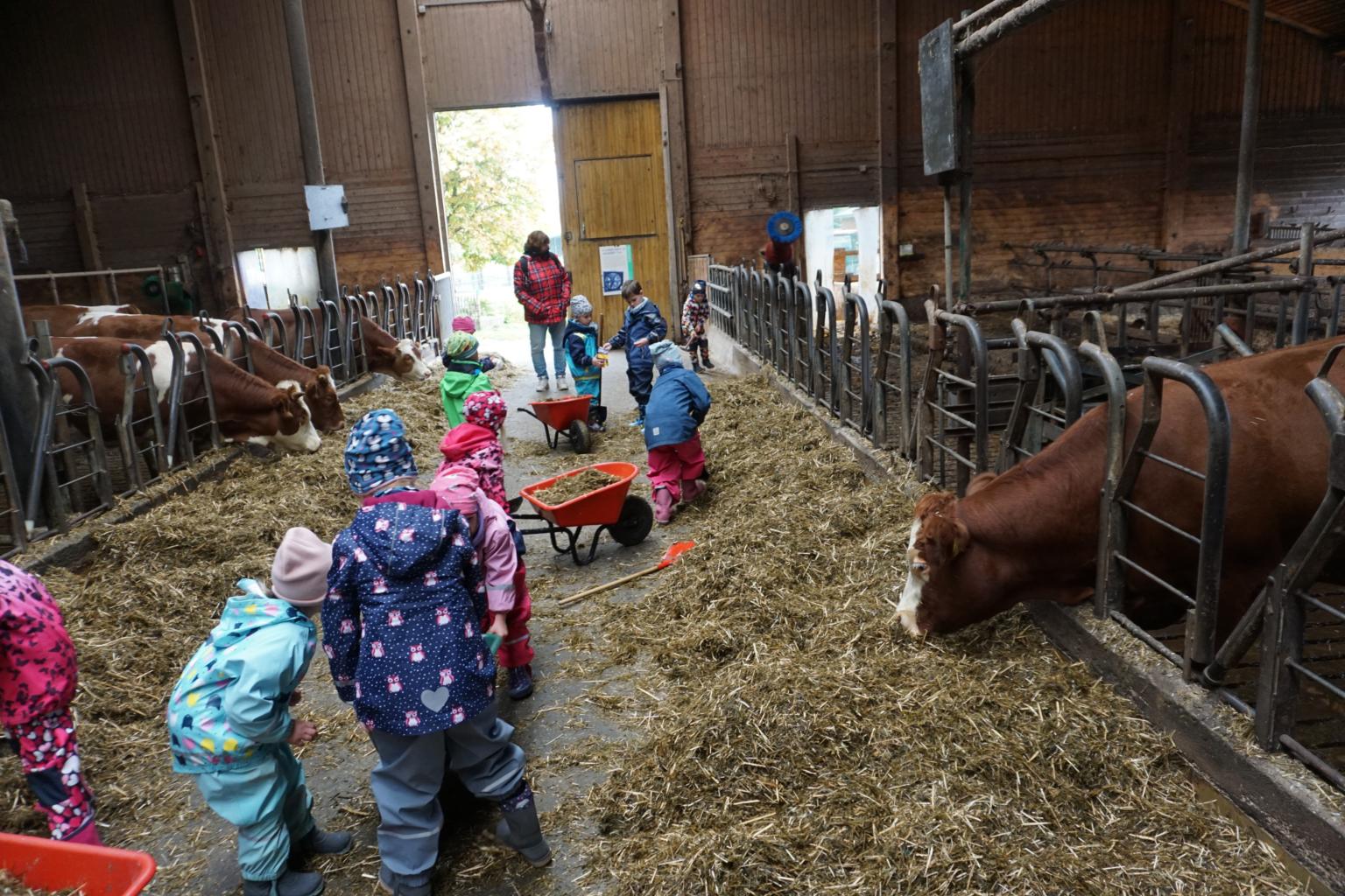 Ein Tag auf dem Erlebnisbauernhof (c) Kindergarten