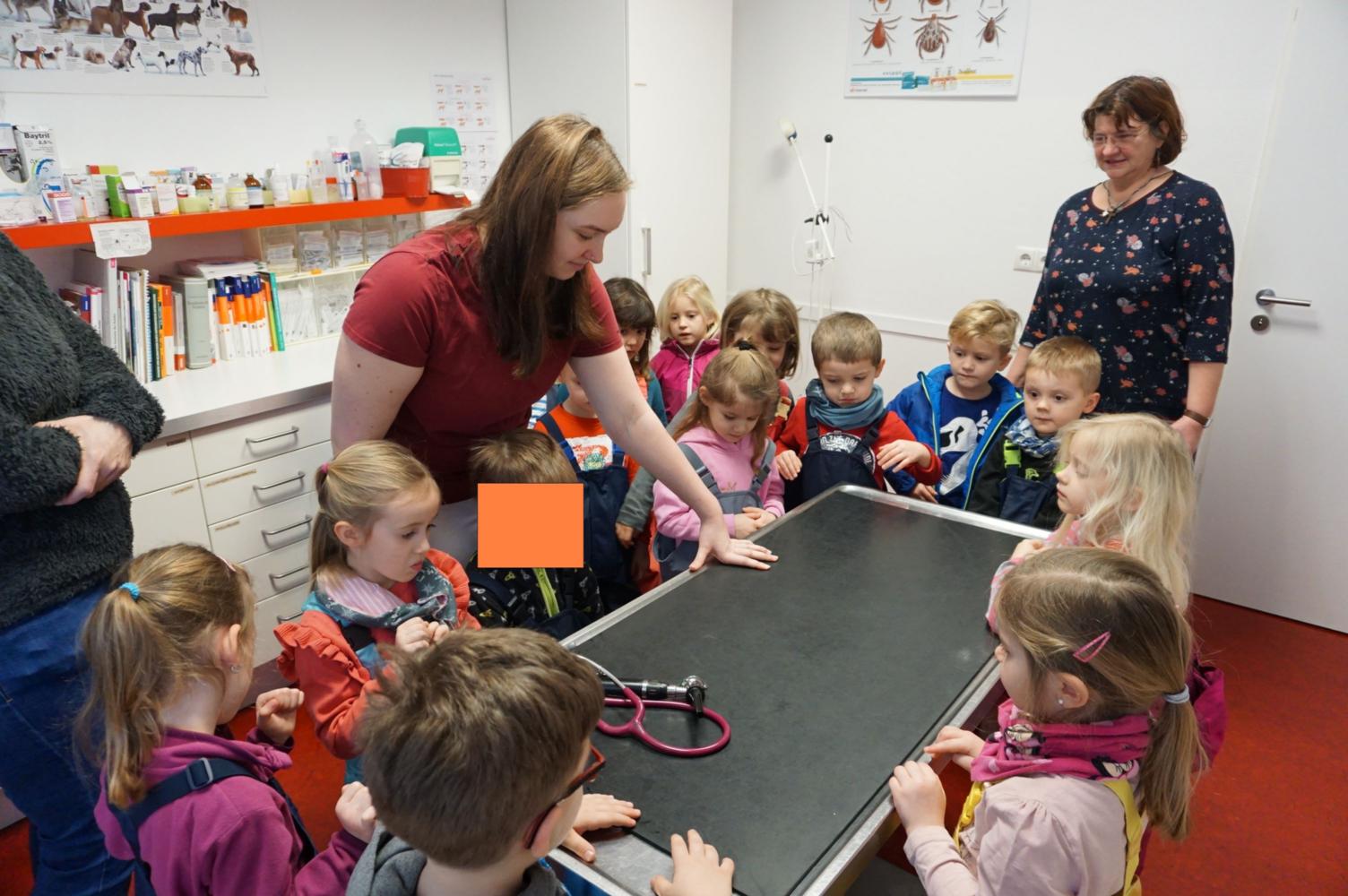 Ein Besuch bei der Tierärztin (c) Kindergarten