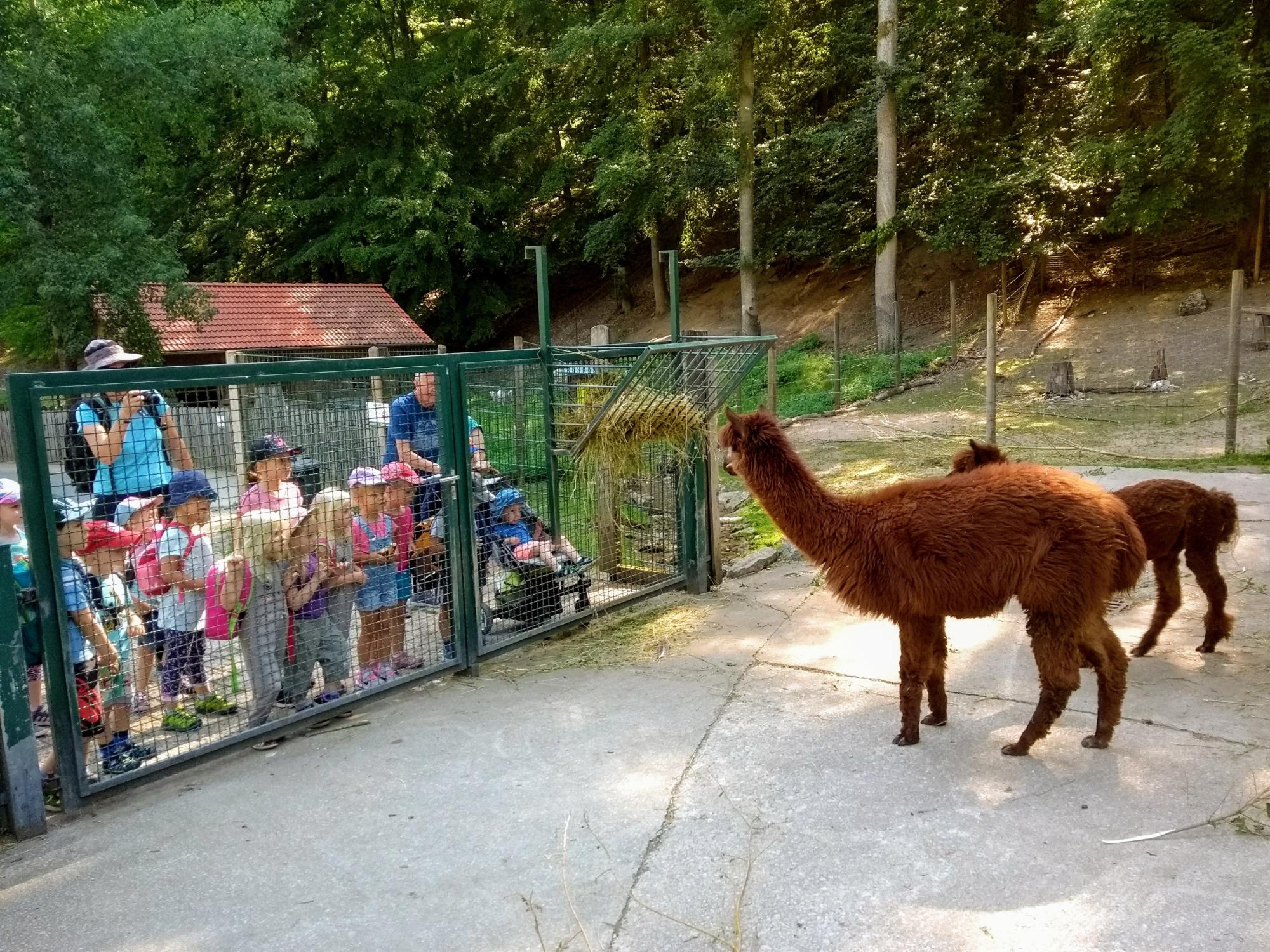 Bei Wisent und Elch - Ein Ausflug nach Hundshaupten